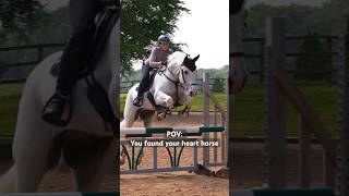 The best time at Somerford Park Farm [upl. by Aciretal462]