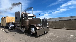 600hp stretched out peterbilt 379 18 speed shifting and LOUD JAKES [upl. by Enovahs531]