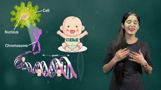 Heredity and Evolution 03 Genetic Terminology CBSE Class X Biology [upl. by Obeng]