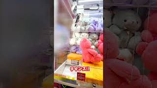 可愛すぎる巨大クマさん確率機【クレーンゲーム】ufoキャッチャー ゲーセンclawmachine [upl. by Viehmann]