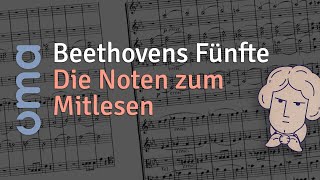 Beethoven 5 Sinfonie 1 Satz Noten leicht mitlesen  5th symphony read along sheet music [upl. by Evelunn706]