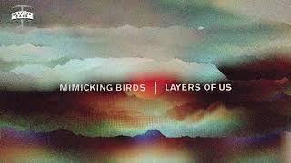 Mimicking Birds  Belongings Official Audio [upl. by Akinihs168]