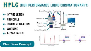 HPLCQuickly understand High Performance Liquid ChromatographyEasy Explanation [upl. by Benedetta]