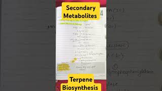 Secondary Metabolites• Biosynthesis of 5 Carbon Unit of Terpene• Acetate Mevalonate Pathway• CSIR [upl. by Drogin201]