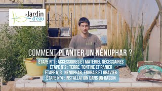 Comment planter un nénuphar [upl. by Mehcanem565]