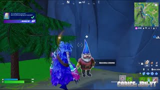 Fortnite Dove Trovare Tutti Gli Gnomi Nascosti [upl. by Osswald169]