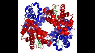 Part 22 Experimentelle Biophysik 2 [upl. by Lipman]