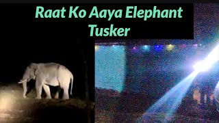 Raat Ko aaya Elephant 🐘 Tusker chotabheempoint Jimcorbett [upl. by Airdni]