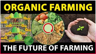 Importance of Organic Farming  What is Organic Farming  Sustainable Agriculture [upl. by Ocer362]