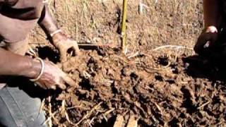 Cob Building Demonstration [upl. by Jessalyn]