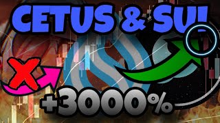 ESTALLIDO MASIVO DE SUI VA A LLEVAR A CETUS AL 3000‼️ SUI AL TOP 8‼️ NOS HARAN RICOS [upl. by Htebesile]