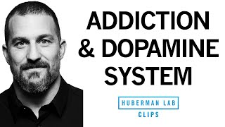 Addiction Explained Rises amp Falls in Dopamine  Dr Andrew Huberman [upl. by Oiretule]