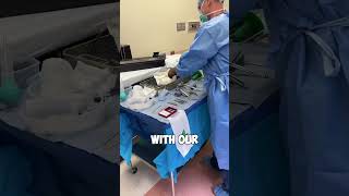 How to put gloves on for surgery Unbelievable 😳 shorts [upl. by Raine]