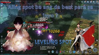 MIR4LEVEL UP SPOT FROM LVL 30100 SANA MAKATULONG SA INYO MGA TOL [upl. by Chaker]