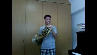 Cadenza for Mozart horn concerto 3 [upl. by Asiel533]