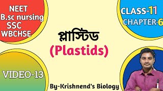 Plastids in BengaliTypes of plastid  ChloroplastLeucoplastChromoplast in Bengali Class11 NEET [upl. by Yelsna]