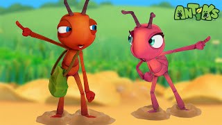 Stuck In The Muddle With You  🐛 Antiks amp Insectibles 🐜  Funny Cartoons for Kids  Moonbug [upl. by Ariela]