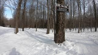 Deer Glade at Woods Valley [upl. by Anerys]