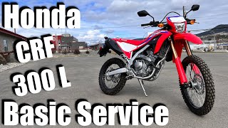 Honda CRF 300 L Oil Change amp Basic Service  How To StepByStep Guide [upl. by Weinstein]