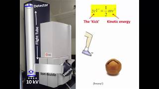 Time of flight mass spectrometer calculations [upl. by Anehsuc708]