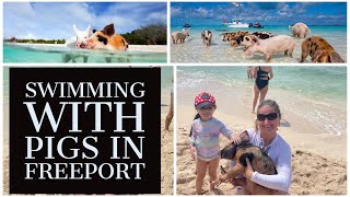 Swimming with Pigs in Freeport Bahamas  Munchkin World [upl. by Annamaria532]