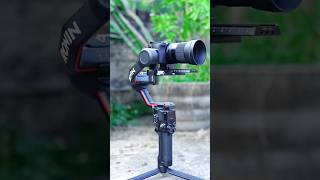 SONY 6400 AND SIGMA 30MM14LANCEAND RS3PRO GEMBIL vairalshort videoshort [upl. by Akemeuwkuhc]