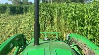 3039R mowing with loader mounted brush cutter [upl. by Nassir]