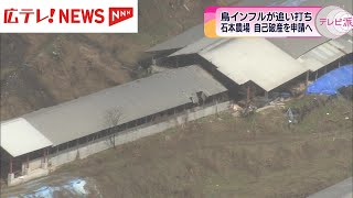 鳥インフルエンザが確認された北広島町の養鶏場が、自己破産を申請 広島 [upl. by Adnuahsor]