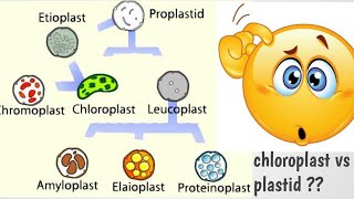 Plastids and its types [upl. by Arhoz441]