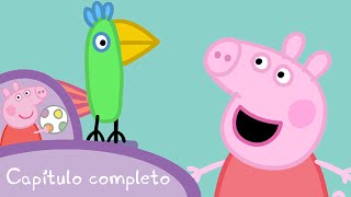 Peppa  Lucas el loro capítulo completo [upl. by Ervine]