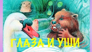 ГЛАЗА И УШИ Виталий Бианки [upl. by Beatriz]