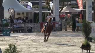 QUEBRACHO SEMILLY  Grand National Deauville 2013 [upl. by Eatnhoj879]