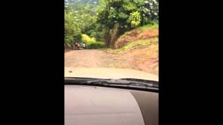 Road to Chachagua Rainforest Hotel and Hacienda [upl. by Haran8]