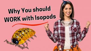 Isopods Why Should You Keep Them [upl. by Ifar323]