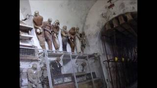 Capuchin Catacombs Palermo Sicily [upl. by Eiramyllek577]