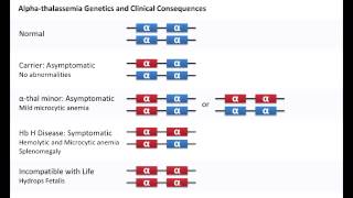 Alpha Thalassemia amp Hemoglobin H Disease [upl. by Agnew]