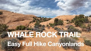 Whale Rock Trail Easy 1 Mile Hike Canyonlands Full Hike 4K [upl. by Tabib]