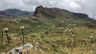 Paramo de Chingaza Colombia by Drone [upl. by Meekah]