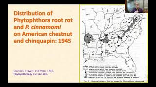 Chestnut Chat Phytophthora cinnamomi and the American chestnut [upl. by Annodahs253]