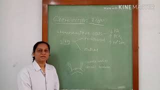 Chemoreceptor reflex for blood pressure regulation [upl. by Htrag554]