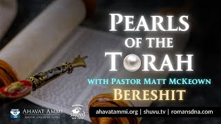 Pearls Of The Torah Bereshit [upl. by Eireva]