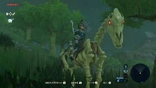 【BGM】襲歩夜 ゼルダの伝説BotW Zelda [upl. by Margaretha]