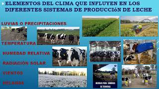 VIDEO 65 Clima Factor clima y su incidencia en los diferentes sist de producción de leche bovina [upl. by Mathur]