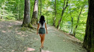 Forest Walk  Lotus Lake [upl. by Hadsall]