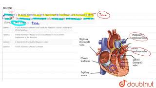 Assertion  In joint diastole all the four chamber of heart are in relaxed state Reason [upl. by Callas]