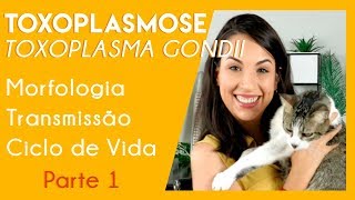 Toxoplasmose toxoplasma gondii  DICAS PARA SUA PROVA PRÁTICA  Parte 1  PARASITOLOGIA 4 [upl. by Kcirddot]