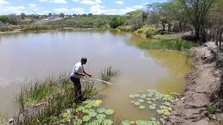 Beleza Natural de campo formoso [upl. by Nesbitt]