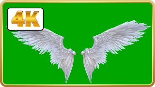 Angel wings in green screen Video Loops HD 4K  Free download [upl. by Lilly397]