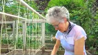 Starting My Garden  Wisconsin Garden Video Blog 274avi [upl. by Alimaj]