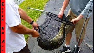 PREDATORY FISH in SMALL POND CAUGHT the last deleted video leaked [upl. by Weider]